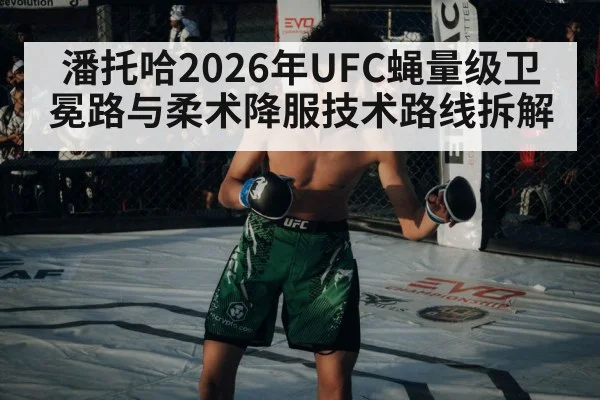 MMA flyweight fighters octagon